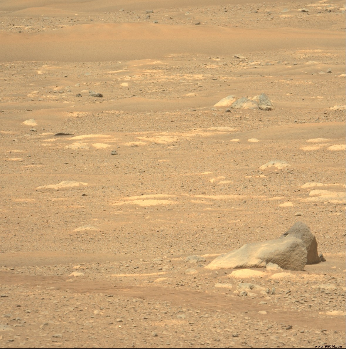 Why Mars is the Prime Location for Discovering Ancient Extraterrestrial Life