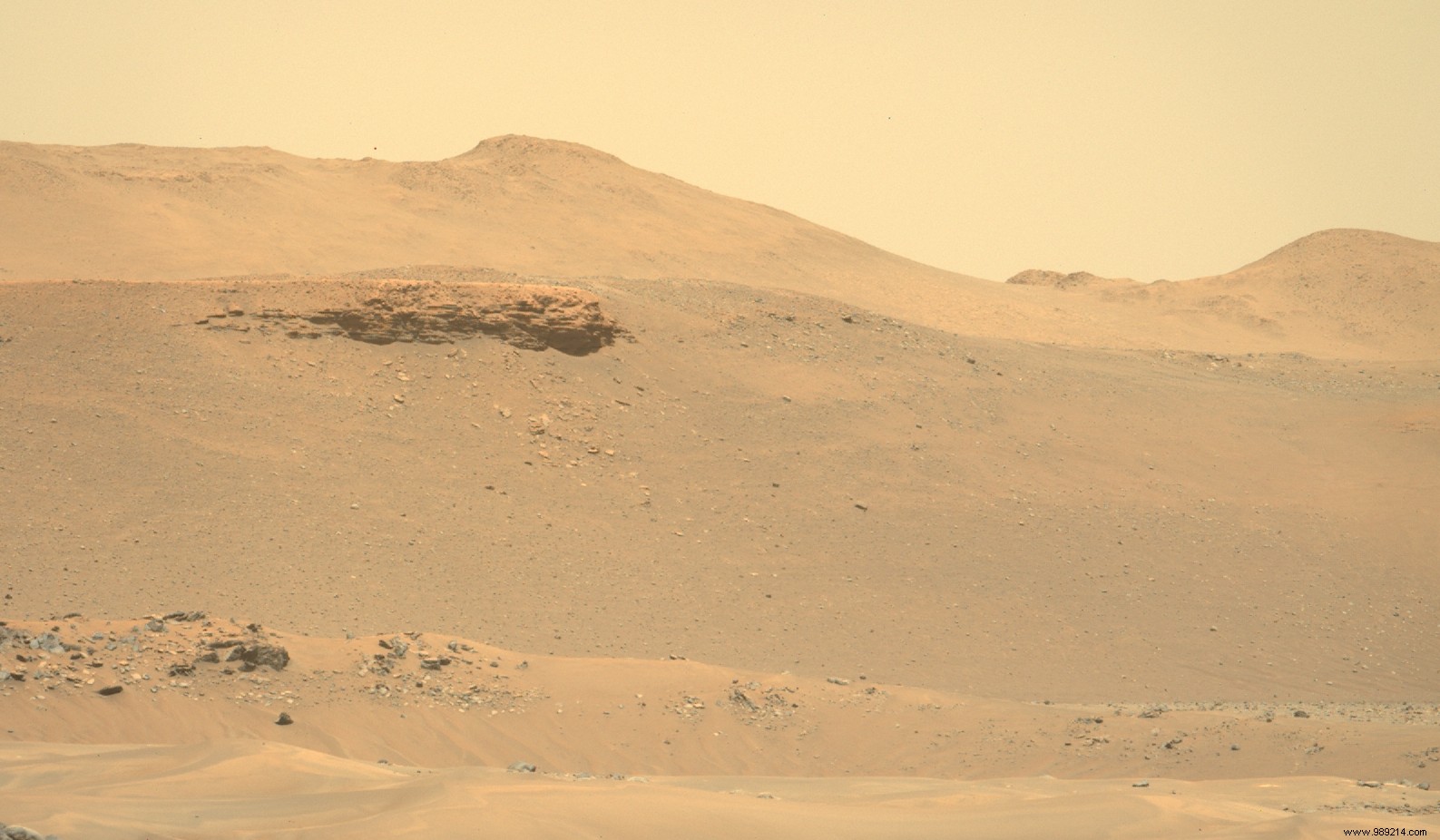 NASA s Strategic Choice: SpaceX s Starship Powers the Return to the Moon