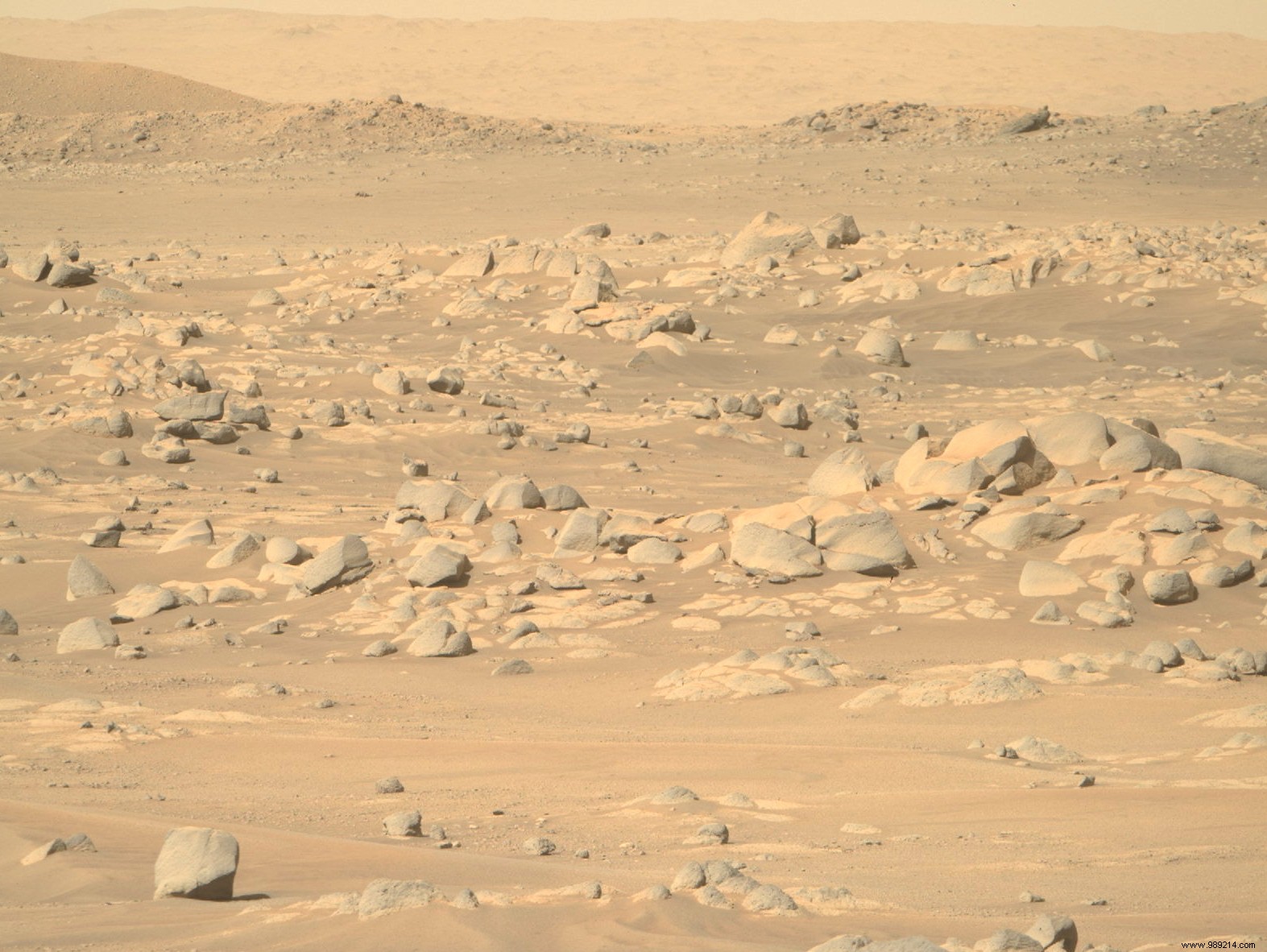 Martian Meteorites Reveal Potential for Microbial Life Just Beneath Mars  Surface