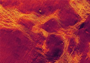 Venus Shows Signs of Active Geology: Crustal Fragments Colliding Like Ice Floes