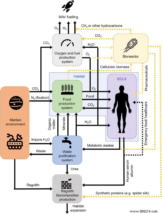 Astronaut Blood and Urine: Key to Building Sustainable Mars Colonies, Study Reveals