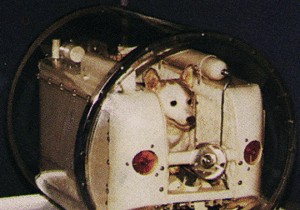 Laïka: The Heartbreaking True Story of the First Dog in Space