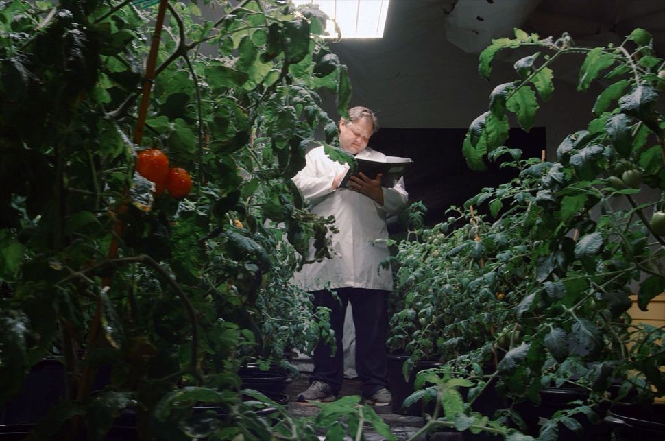Heinz Unveils Marz Edition Ketchup from Tomatoes Grown in Simulated Martian Conditions