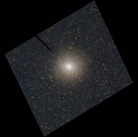 Evidence of Rare Intermediate-Mass Black Hole in Andromeda Galaxy s Largest Globular Cluster