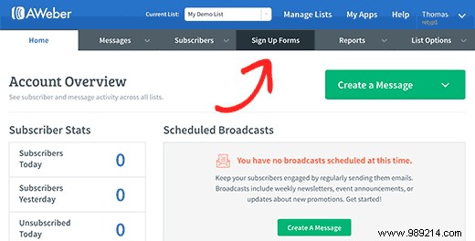 Ultimate Guide: How to Connect AWeber to WordPress for Email List Growth