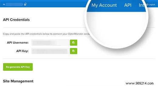 How to Implement Content Locking in WordPress: A Step-by-Step Guide to Boost Leads