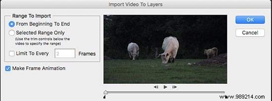 How to Create and Add Stunning Cinemagraphs in WordPress: Expert Step-by-Step Guide