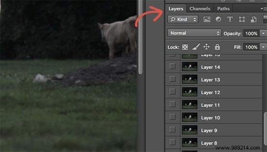 How to Create and Add Stunning Cinemagraphs in WordPress: Expert Step-by-Step Guide