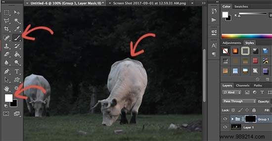 How to Create and Add Stunning Cinemagraphs in WordPress: Expert Step-by-Step Guide