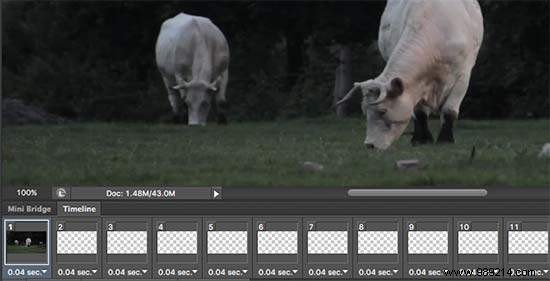 How to Create and Add Stunning Cinemagraphs in WordPress: Expert Step-by-Step Guide
