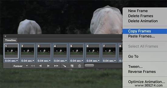 How to Create and Add Stunning Cinemagraphs in WordPress: Expert Step-by-Step Guide