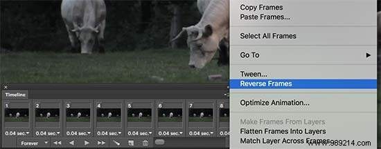 How to Create and Add Stunning Cinemagraphs in WordPress: Expert Step-by-Step Guide