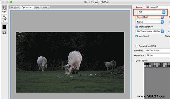 How to Create and Add Stunning Cinemagraphs in WordPress: Expert Step-by-Step Guide
