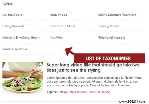 How to Display Child Taxonomies on Parent Taxonomy Archive Pages in WordPress