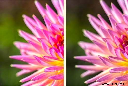 How to Fix Image Color and Saturation Loss in WordPress: Expert Photoshop & GIMP Guide