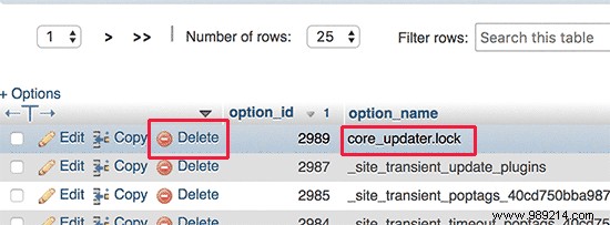 How to Fix the  Another Update Is Currently in Process  Error in WordPress