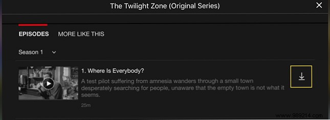 12 Best Netflix TV Shows to Download for Your Commute: Expert Picks for Every Trip Length