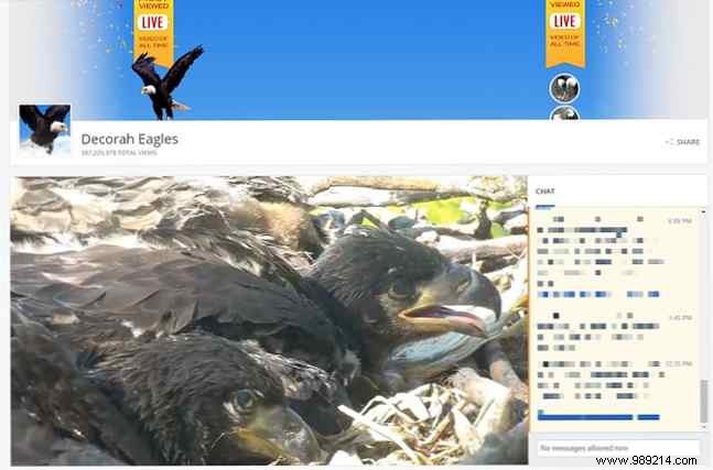 7 Fun and Engaging Ways to Maximize Your Smart TV