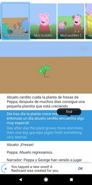 Master Spanish Through Immersion with Flowlingo: An Expert Guide to Authentic Language Learning