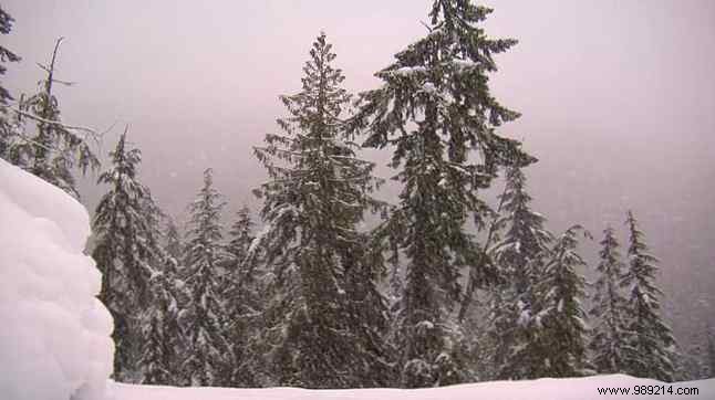 Slow TV on Netflix: Your Guide to Relaxing Real-Time Viewing