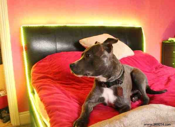 6 Easy DIY Smart Home Projects to Tackle This Weekend