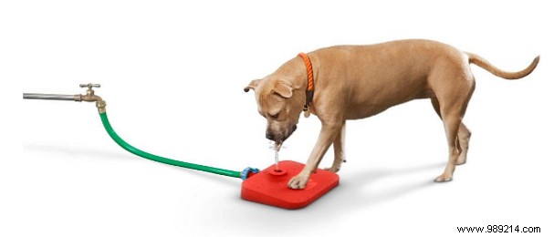 6 Bizarre Smart Home Gadgets That Push the Boundaries of IoT