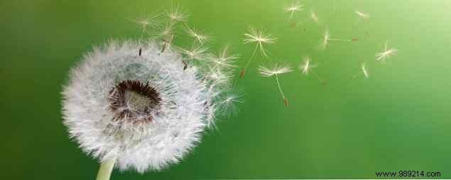 9 Proven IFTTT Applets to Automate Your Life and Save Time