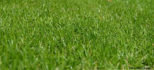 Are Robotic Lawnmowers Safe? In-Depth Review of Features, Safety, and Top Models