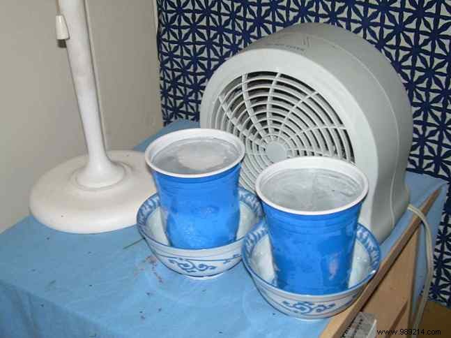 4 Expert Tips to Stay Cool This Summer Without Air Conditioning