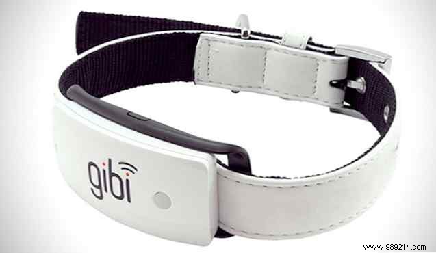 Best GPS Pet Trackers for Dogs and Cats: Compatible with iOS and Android Apps