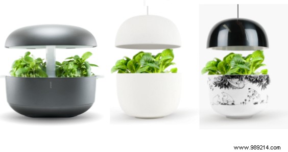 Never Kill a Plant Again: 7 Smart Gadgets to Master Indoor Gardening