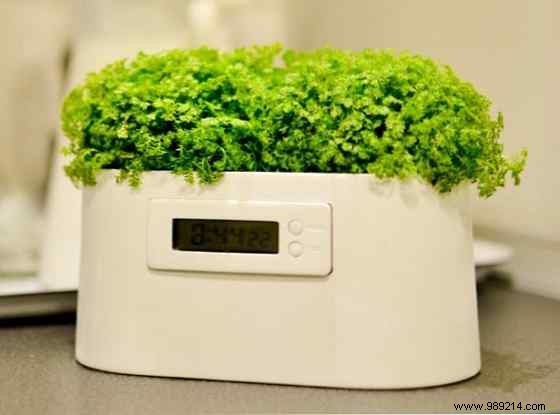 Never Kill a Plant Again: 7 Smart Gadgets to Master Indoor Gardening