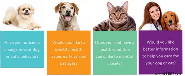 10 Cutting-Edge Wearables Blending Fashion, Tech, and Everyday Utility