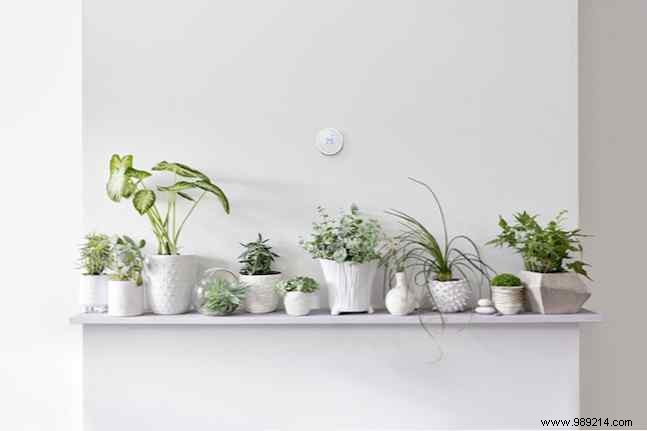 Power Outages and Smart Homes: How Your Devices Hold Up During Blackouts