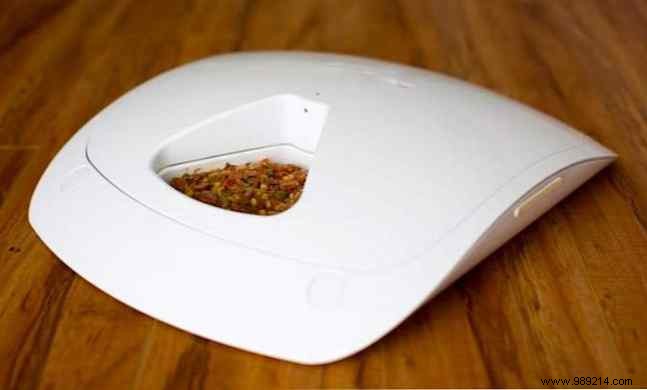 Best Automatic Pet Feeders: Top Picks for Cats and Dogs in 2023