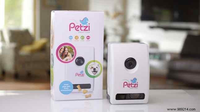 Best Automatic Pet Feeders: Top Picks for Cats and Dogs in 2023