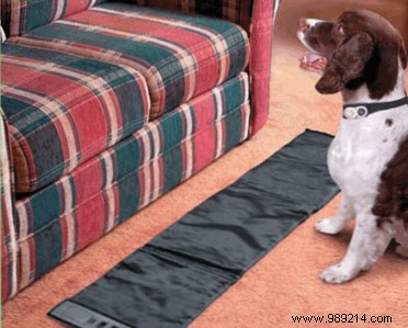 Top Pet Training Gadgets for Effective Dog and Cat Behavior Training