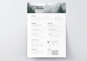 15 Expert-Picked Free Creative Resume Templates for Photoshop & Illustrator