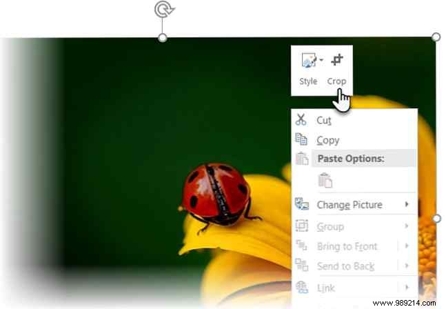 3 Proven Ways to Crop Images in Microsoft PowerPoint