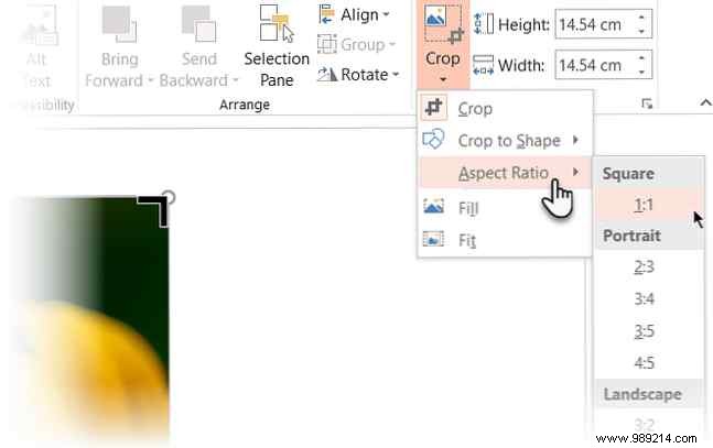 3 Proven Ways to Crop Images in Microsoft PowerPoint