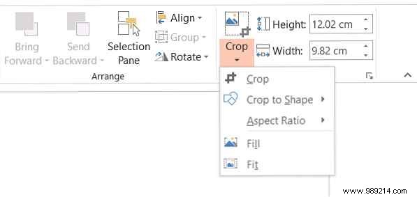 3 Proven Ways to Crop Images in Microsoft PowerPoint
