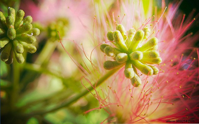 10 Science-Backed Strategies to Boost Office Productivity