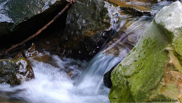 10 Science-Backed Strategies to Boost Office Productivity