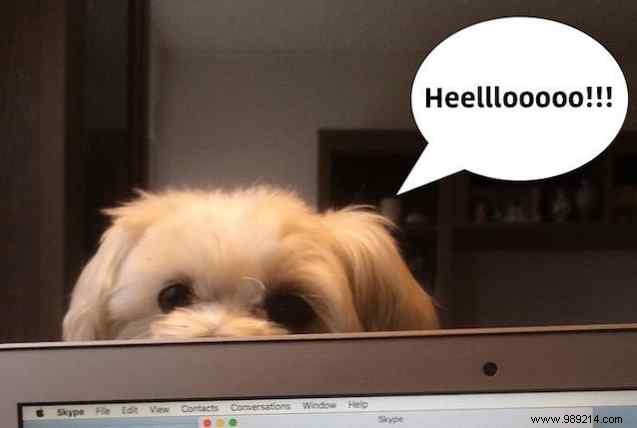 How to Migrate Evernote Notes to OneNote for Free: A Step-by-Step Guide from Microsoft s Official Importer