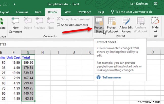 Expert Guide: How to Hide and Unhide Elements in Excel Like Overflow Text, Comments, Formulas, Rows, and More