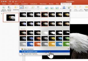 How to Make Images Transparent in PowerPoint: Expert Step-by-Step Guide