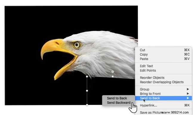How to Make Images Transparent in PowerPoint: Expert Step-by-Step Guide