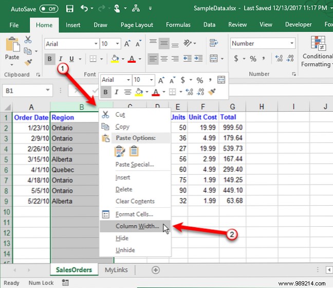 Excel Column Mastery: Insert, Hide, Move, Copy, and Resize Columns Like a Pro