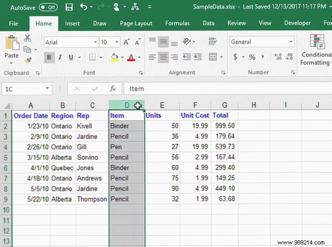 Excel Column Mastery: Insert, Hide, Move, Copy, and Resize Columns Like a Pro