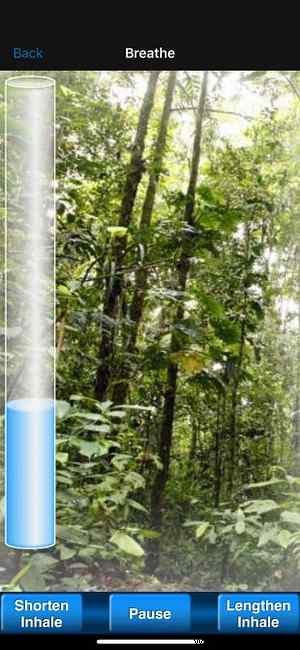 Top 10 Calming Apps to De-Stress, Relax, and Clear Your Mind